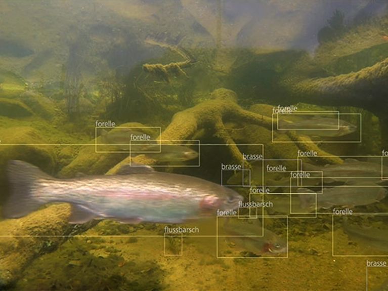Alimentation et bien-être – l’appli Monitorfish associe les deux.