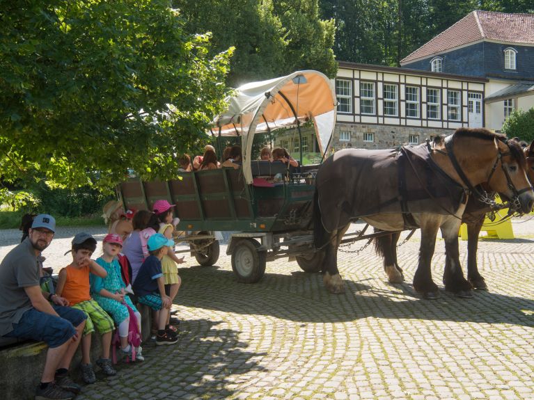 Un carro de caballos lleva a los visitantes por el museo.
