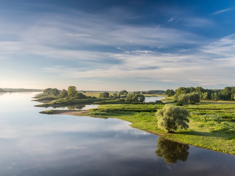 Łabskie łąki w regionie Wendland w pobliżu Dömitz 