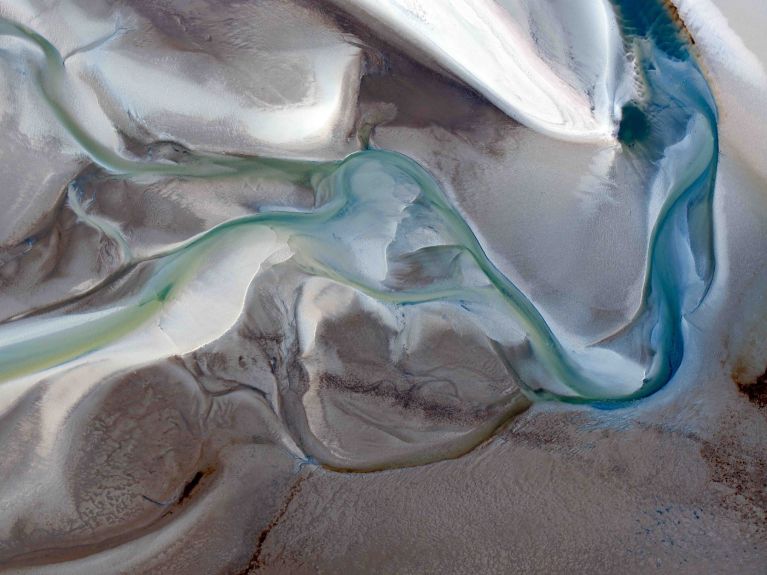 Close-up view: the Wadden Sea in Lower Saxony