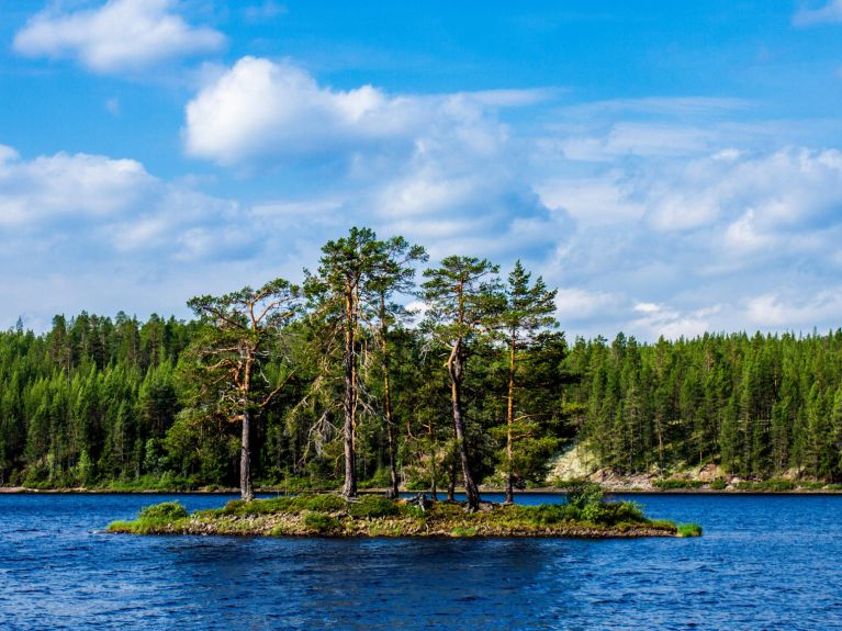 W Szwecji pojawił się pierwszy sezon formatu „7 vs. Wild”. 