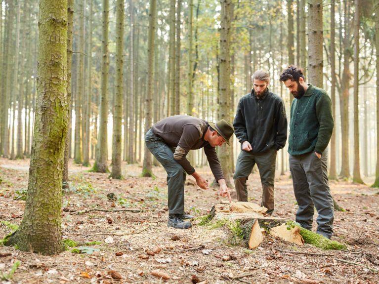 Os guardas-florestais voluntários ajudam a preservar a natureza. 