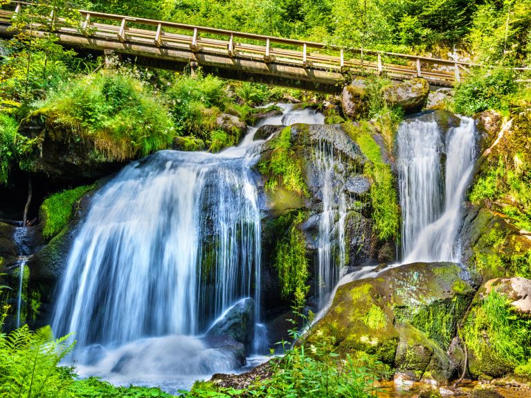 Une cascade dans la Forêt Noire