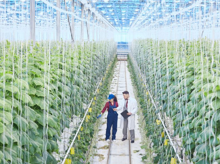 La protección del clima y el crecimiento económico son compatibles. La protección del clima y el crecimiento económico son compatibles.