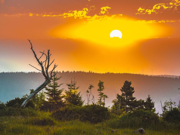 Lever de soleil sur la Forêt Noire