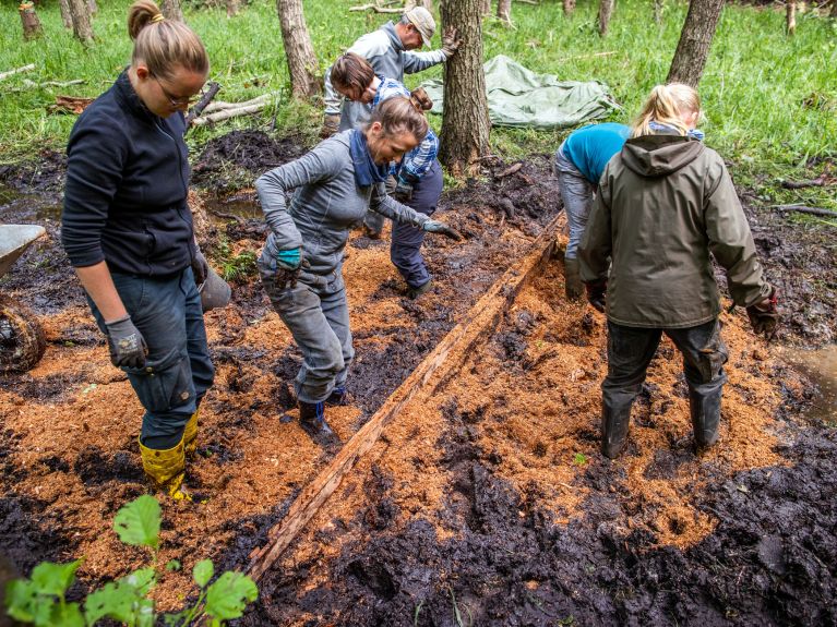 Voluntários ajudam a proteger os pântanos no Parque Nacional de Rügen. 