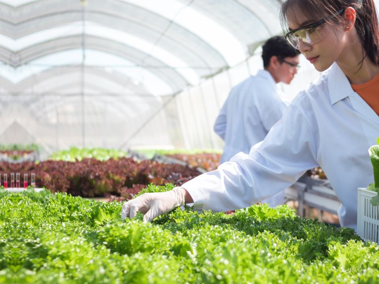 Estudiar nuevas formas de producción de alimentos.