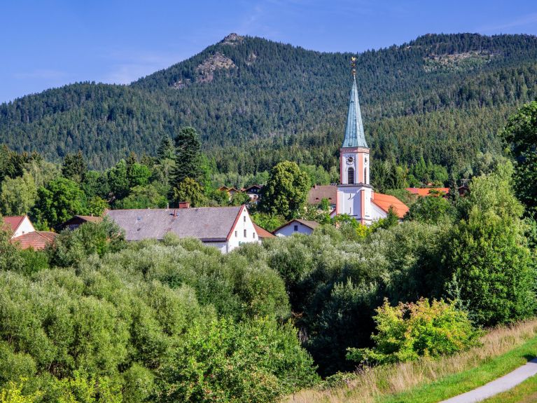 Bayerischer Wald 