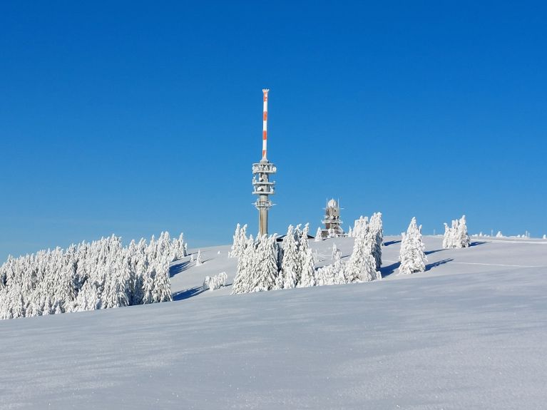 Feldberg, Kara Orman