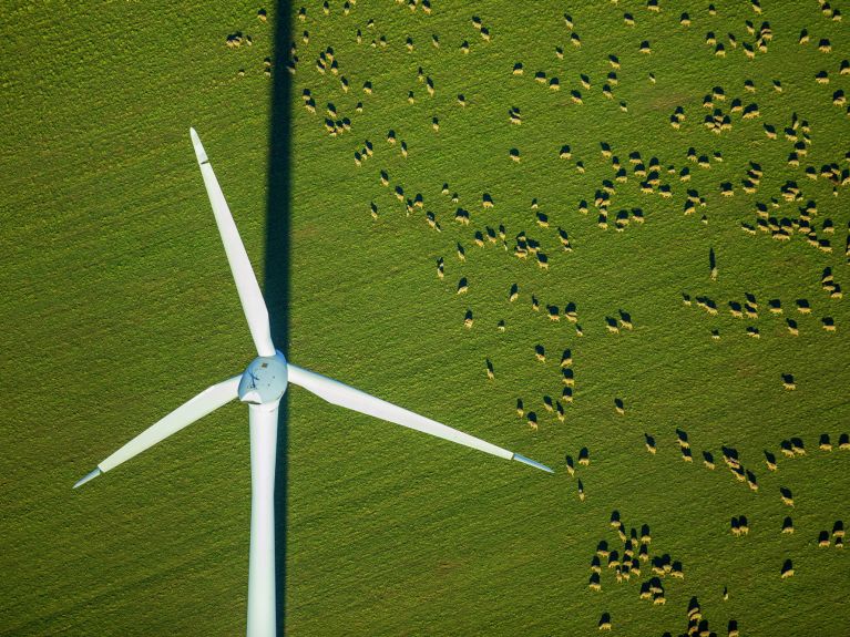 Energía sostenible: Aerogenerador en un prado de pastoreo de ovejas en Alemania