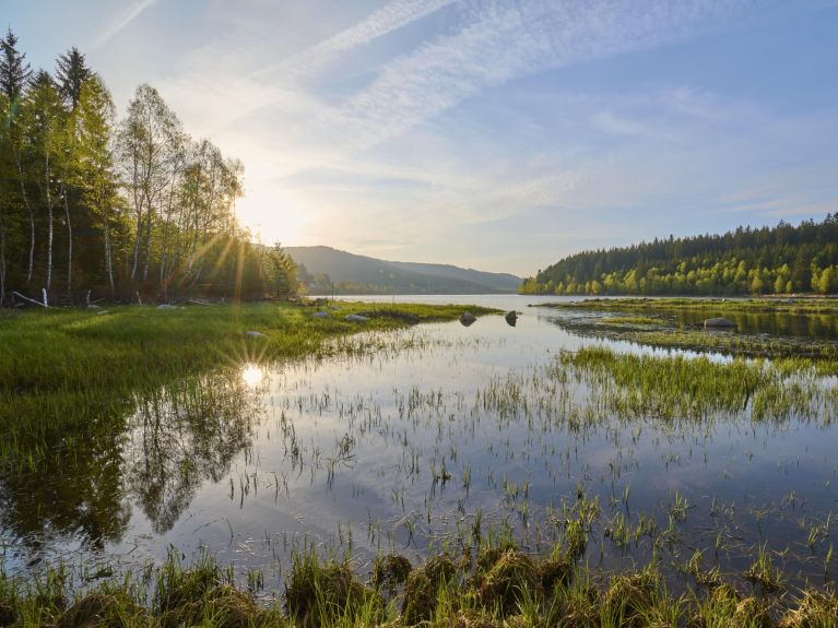 Jezioro polodowcowe: Schluchsee położone w południowych Niemczech jest największym jeziorem Schwarzwaldu. Jezioro polodowcowe zostało spiętrzone około 90 lat temu i od tego czasu stanowi najwyższą zaporę wodną w Niemczech. 