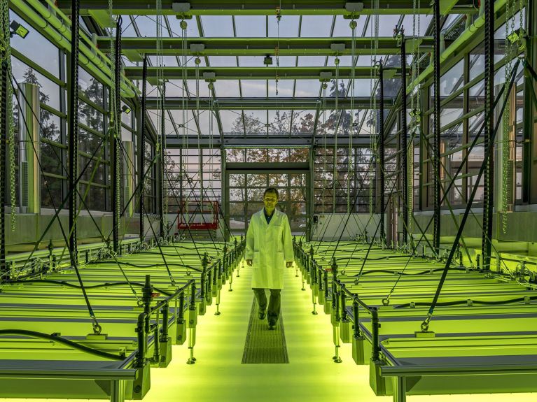 The algae cultivation centre at the TU Munich