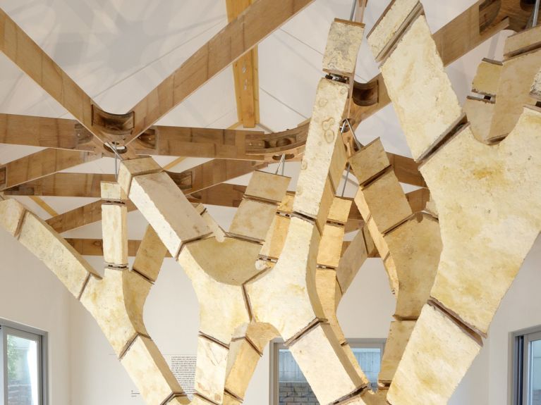 MycoTree – a self-supporting structure made of fungal mycelium and bamboo