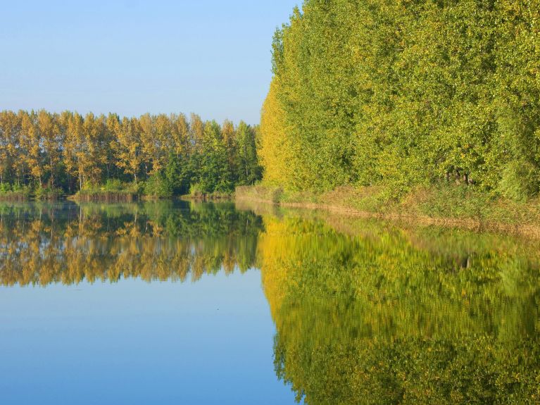 Un lac renaturalisé dans une ancienne mine à ciel ouvert.