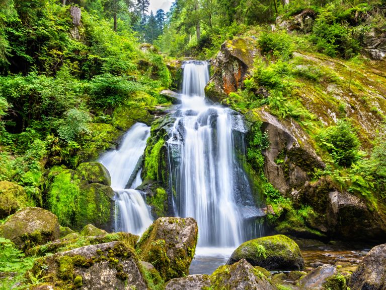 Die Natur blüht auf: Wasserfall im Schwarzwald