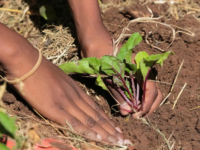 Many countries are dependent on food imports - they are threatened with a food crisis.