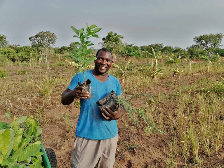 In Ghana unterstützt Click a Tree mit der Pflanzung von Obstplantagen lokale Gemeinden. Zusätzlich unterstützt das Projekt eine Unternehmerschule, in der Gründerinnen und Gründer lernen, Businesspläne zu erstellen und eigene Produkte auf den Markt zu bringen. 
