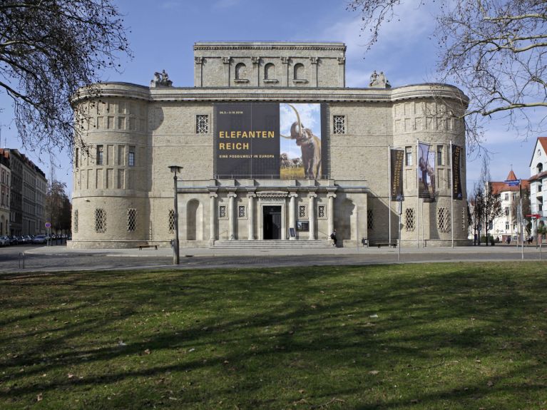 O Museu Estadual Arqueológico em Halle 