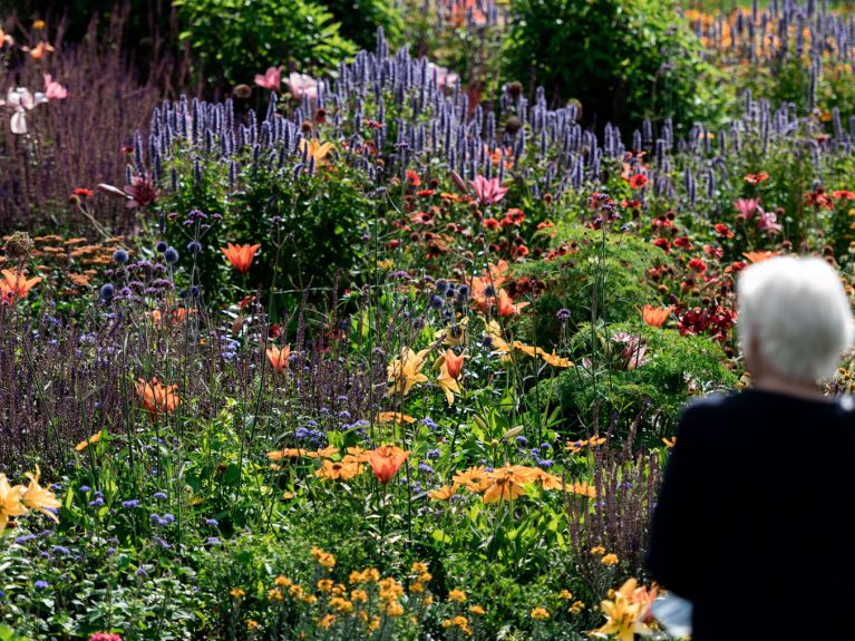 Le vert à l'honneur : un massif de plantes vivaces à l'exposition horticole de Kamp-Linfort 2020.