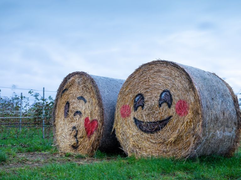 Bella vida de campo - desde 2014, muchos han emigrado de las ciudades a los suburbios. 