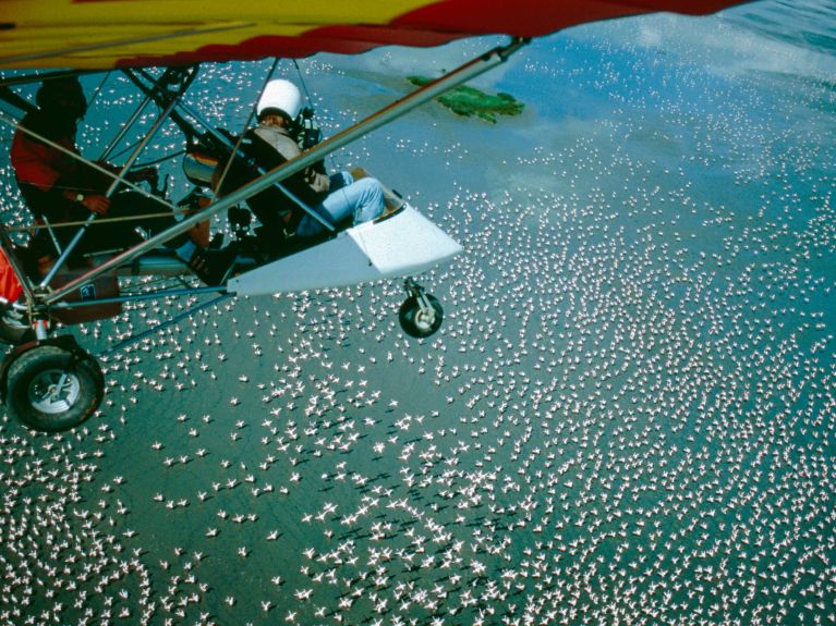 1996 年，拉德克在肯尼亚纳库鲁湖的一架轻型飞机上。 