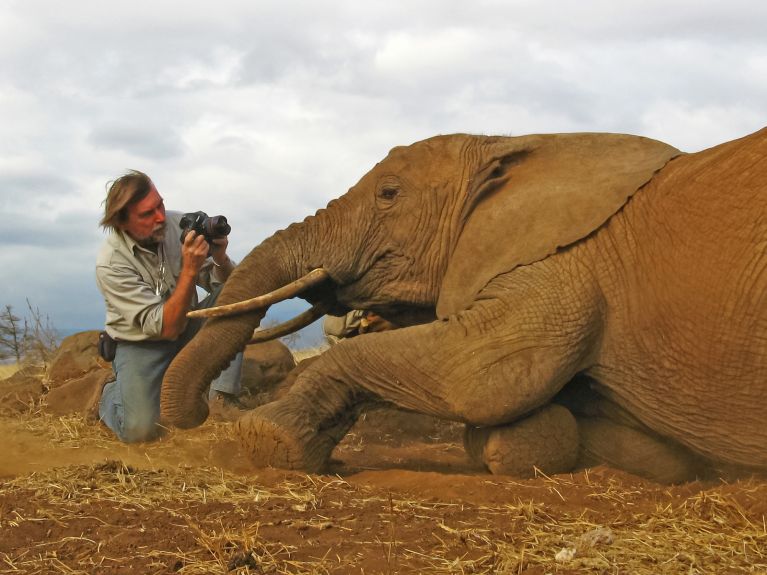 في تنزانيا أتيحت لرادكة فرصة تصوير فيل من مسافة قصيرة 