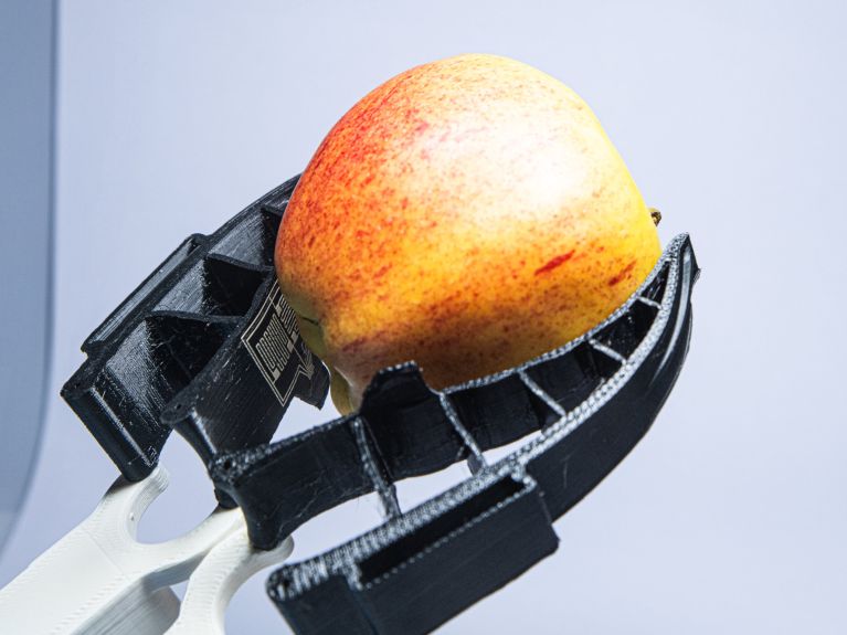 Robotic grippers with haptic capabilities can sort fruit more gently. Robotic grippers with haptic capabilities can sort fruit more gently.