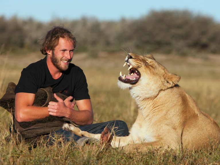 Valentin Grüner es mundialmente conocido como el “hombre que susurra a los leones”. 