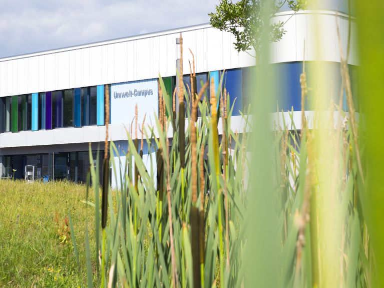 O Campus Ambiental Birkenfeld é um exemplo de estruturas sustentáveis. 