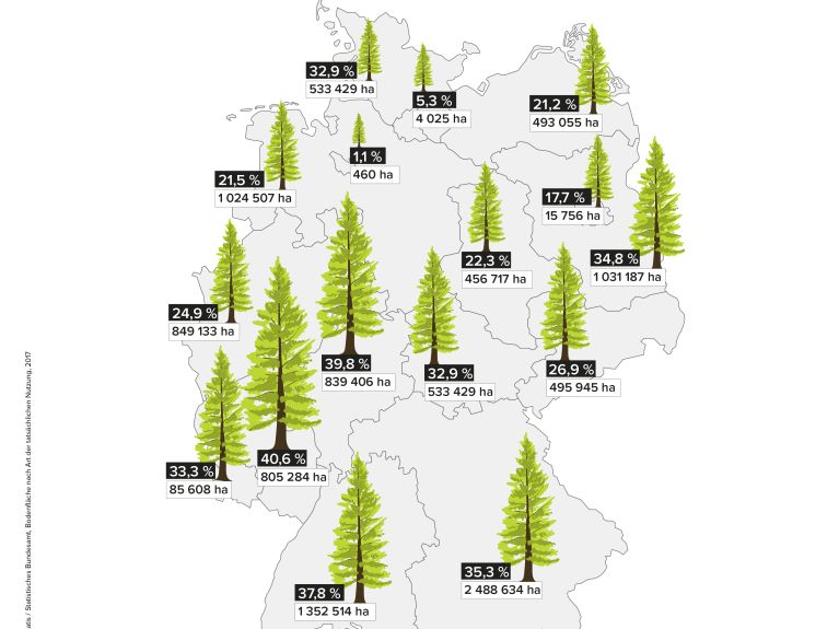 Woodland in Germany