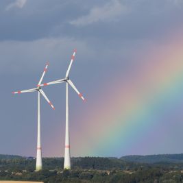 Радуга над ветряками. 