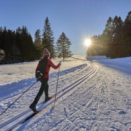 Una mujer recorre un bosque nevado con esquís de fondo.