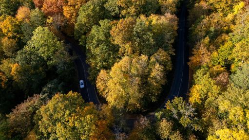 Luftaufnahme eines Autos auf einer Waldstraße