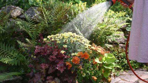 Garten Garten