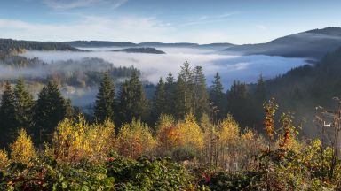 Verwunschen – emotionaler Blick auf den Schwarzwald Verwunschen – emotionaler Blick auf den Schwarzwald
