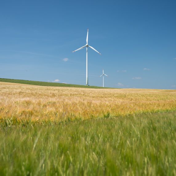 In Berlin beginnt heute der 17. Petersberger Klimadialog.