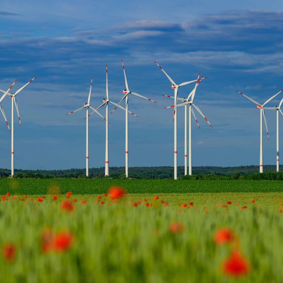 Mehrere Windkraftanlagen erzeugen auf einer landwirtschaftlichen Fläche umweltfreundlichen Strom aus erneuerbaren Energien.