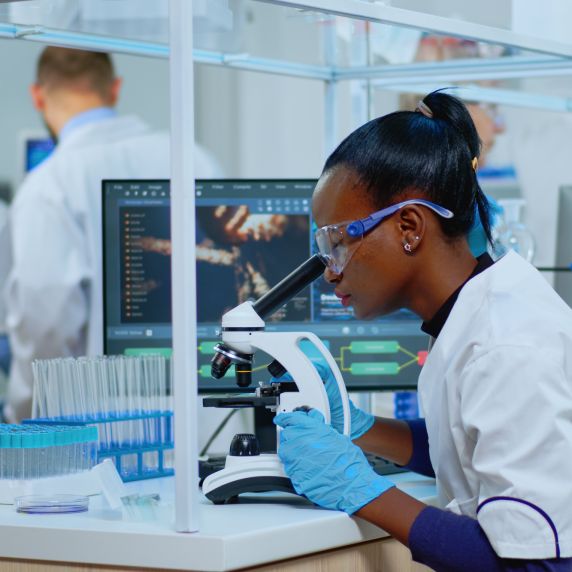 Internationale Forschende in Deutschland.