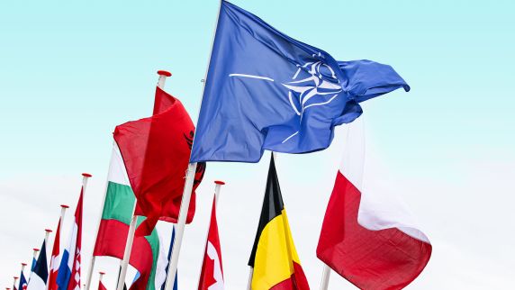 The NATO flag 