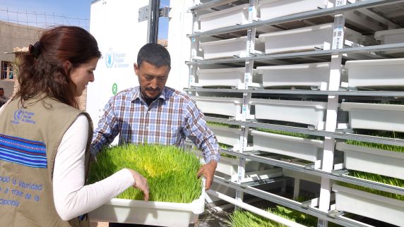 Hydroponics Algeria: Grüne Inseln in der Wüste