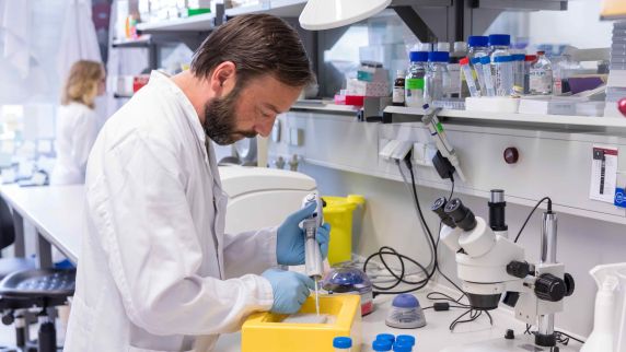 Biologisch-Technischer Assistent bei der Arbeit in einem UKE-Labor