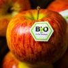 Bio-Boom im Lebensmittelhandel