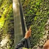 picture-alliance/dpa - vertical gardens