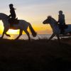 picture-alliance/blickwinkel/McPHOTO - Happiness