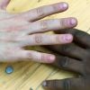 picture-alliance/dpa - Intercultural week