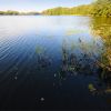 picture-alliance/dpa Zentralbild  - Ecotourism