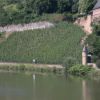 Auswärtiges Amt - Riesling