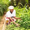 Forscherinnen setzten sich für bessere Bedingungen für Landwirtinnen in Afrika ein.