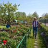 Schrebergarten