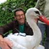 Storch mit Sender: Tierbeobachtung im deutsch-russischen Austausch